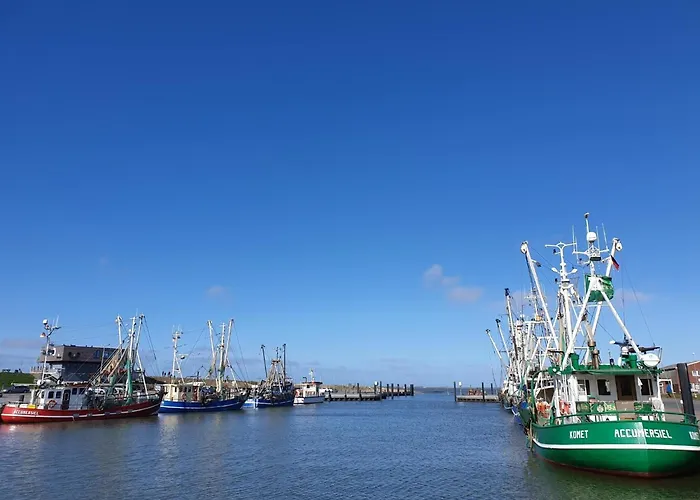 Wattwurm Ferienhaus *