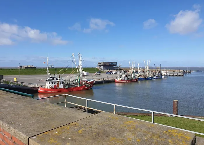 Ferienhaus Wattwurm Dornumersiel